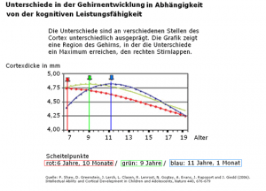 Kurve der normalen Leistungsfähigkeit bei unterschiedlichem IQ und ohne physische Störungen. Die Gehirnentwicklung von Kindern mit Hochbegabung findet verspätet statt - im Vergleich zu schwächer Begabten.